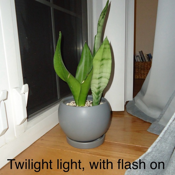 Sony Cyber-shot Dsc-w530 14.1 Megapixel Compact Camera - Picture 14 of 16